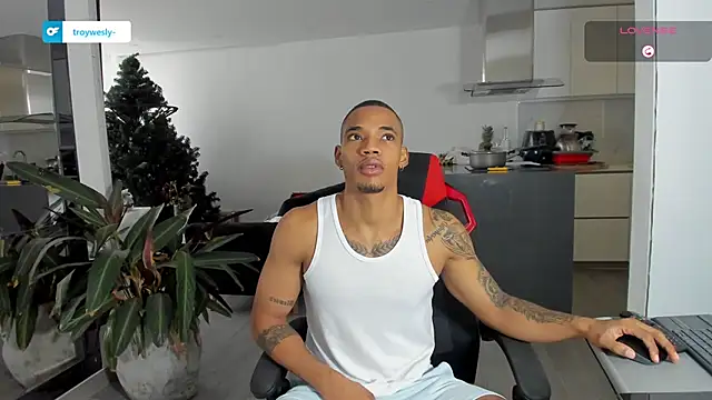 TROYWESLY- online show from January 13, 2026, 5:17 pm