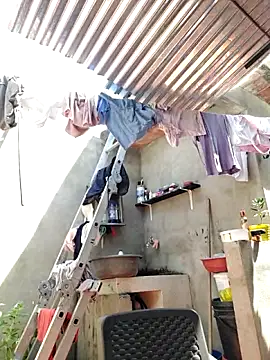 room 24funn online show from October 15, 2025, 2:47 pm