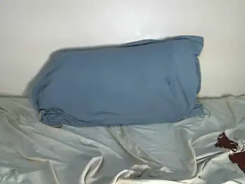 Snapshot of hOT-SHANNEL chatting on December 23, 2024, 3:29 am hOT-SHANNEL online show from December 23, 2024, 3:29 am