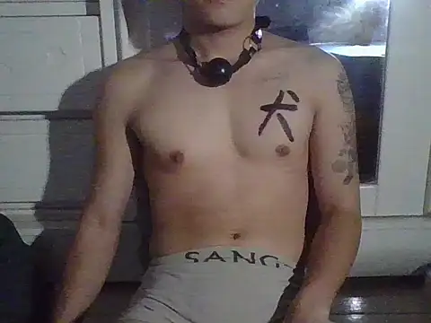 Snapshot of ZHIIz chatting on April 20, 2026, 2:29 pm ZHIIz online show from April 20, 2026, 2:29 pm