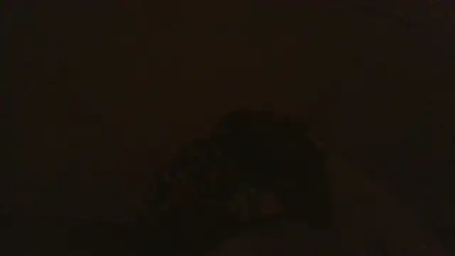 Snapshot of iaradias chatting on December 2, 2025, 12:18 pm iaradias online show from December 2, 2025, 12:18 pm