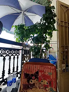 lyna bl online show from October 9, 2025, 2:23 am