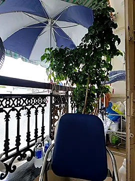 lyna bl online show from October 7, 2025, 4:02 am