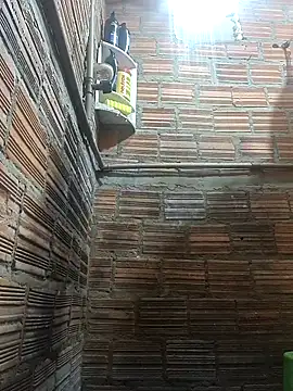 RS1995Poa1 online show from December 4, 2025, 10:14 am