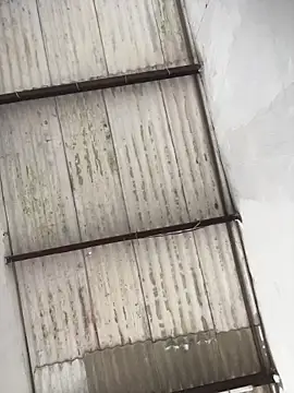 king cum  online show from February 19, 2026, 4:48 pm