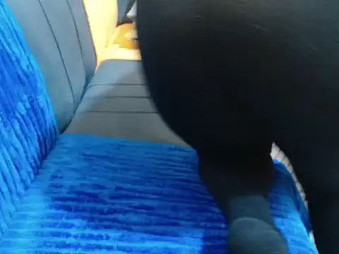 leslysexygirl online show from February 16, 2026, 5:28 am