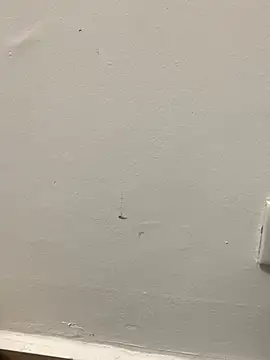 zeck80 online show from December 19, 2025, 12:03 am