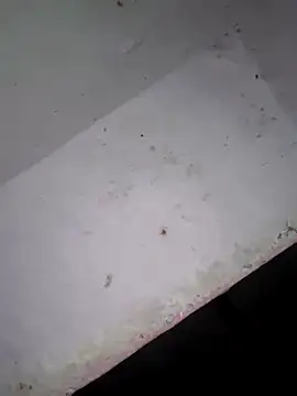 Srmotrs online show from February 3, 2026, 7:08 pm