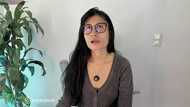 Snapshot of NayeCloud chatting on May 14, 2026, 2:58 pm NayeCloud online show from May 14, 2026, 2:58 pm