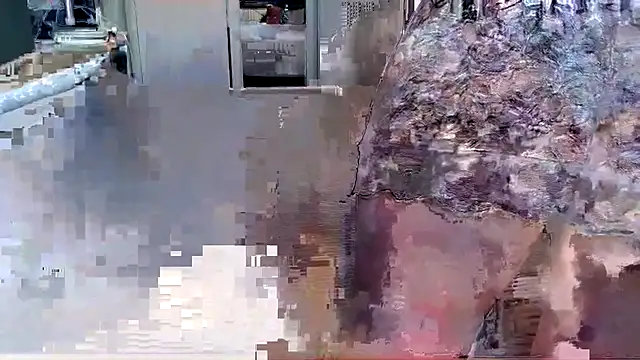 margotgra82 online show from July 12, 2026, 1:56 pm