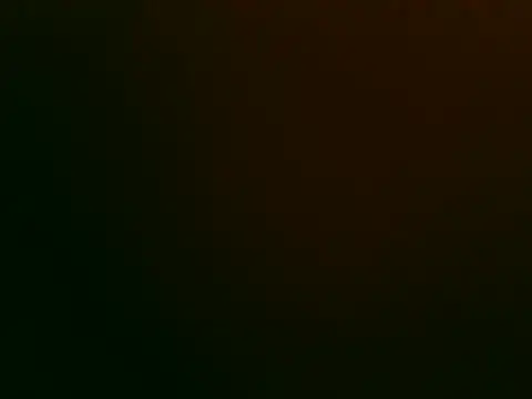 Snapshot of Tiger202441 chatting on November 12, 2025, 10:46 pm Tiger202441 online show from November 12, 2025, 10:46 pm