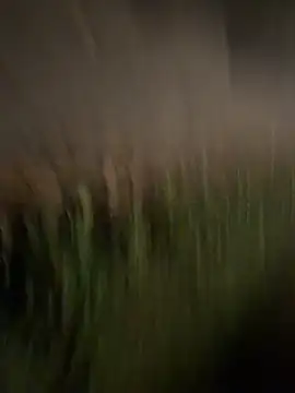 esteraulxxx online show from December 4, 2025, 6:12 am