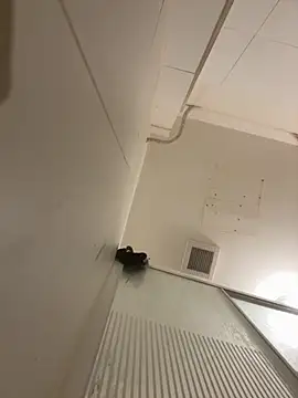 Pablo666666 hot online show from March 31, 2026, 7:38 pm