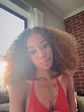 Snapshot of Dime-__ chatting on February 21, 2025, 1:33 pm Dime- online show from February 21, 2025, 1:33 pm