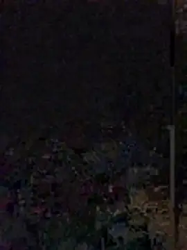 Yoko0381 online show from June 12, 2026, 5:38 am