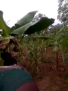 Sherry she online show from November 28, 2025, 3:39 am