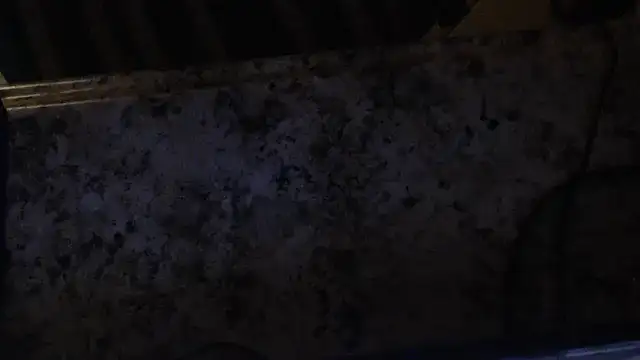 joeydee1 online show from February 19, 2025, 3:06 am