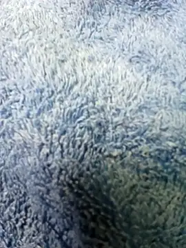 Hot Tash online show from November 2, 2025, 10:20 am