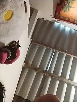 Snapshot of AlexaWarner chatting on November 13, 2025, 4:00 pm AlexaWarner online show from November 13, 2025, 4:00 pm