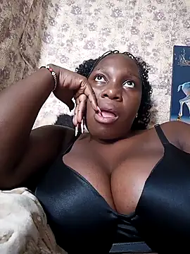 Golden diver online show from November 13, 2025, 8:18 am