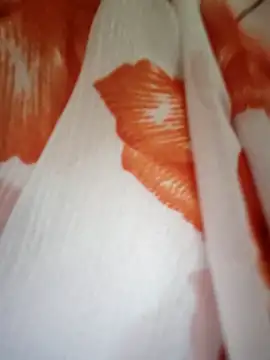 Gautami-telugu online show from November 16, 2025, 9:58 am