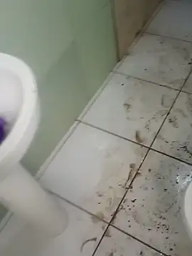 Snapshot of taradobbsafadok chatting on December 5, 2024, 5:12 pm taradobbsafadok online show from December 5, 2024, 5:12 pm