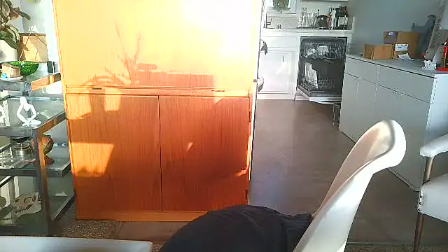 Snapshot of costanza7070 chatting on December 15, 2025, 12:05 am costanza7070 online show from December 15, 2025, 12:05 am