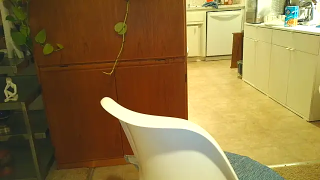 Snapshot of costanza7070 chatting on October 20, 2025, 6:37 am costanza7070 online show from October 20, 2025, 6:37 am