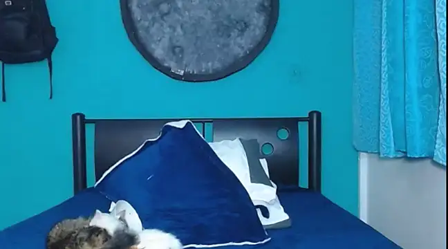 Dirtymatthew online show from February 9, 2025, 2:29 pm