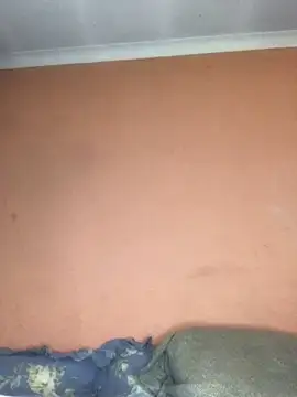 NAUGHTYSHALOTXX online show from March 11, 2025, 5:46 am