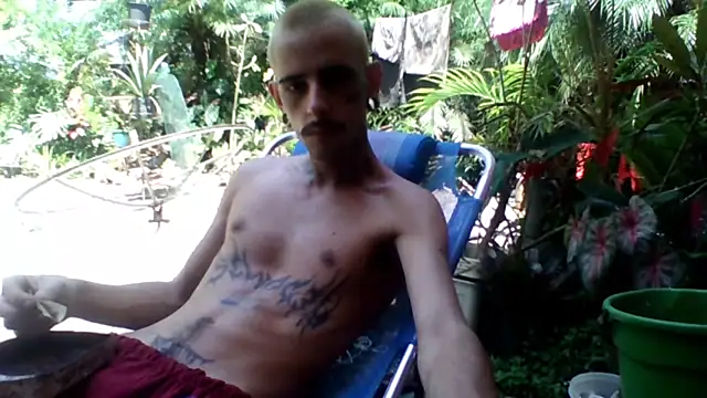 sellvageria online show from November 22, 2025, 1:32 pm