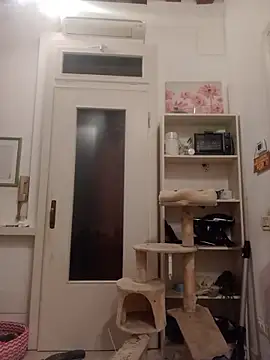 Snapshot of fattone95 chatting on December 19, 2025, 8:55 pm fattone95 online show from December 19, 2025, 8:55 pm