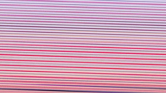 Annieefoxx online show from November 7, 2025, 2:54 pm