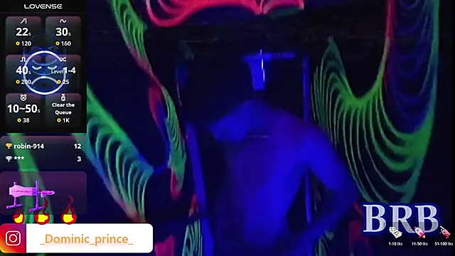 Snapshot of DominicPrince chatting on January 13, 2026, 4:11 pm DominicPrince online show from January 13, 2026, 4:11 pm