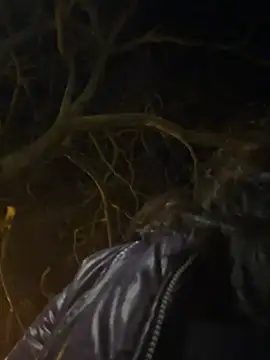 Ary art online show from March 17, 2026, 11:52 pm