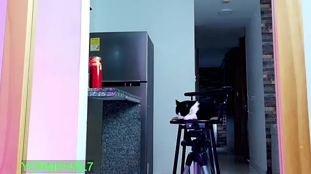 Snapshot of zaiin_diesel chatting on November 26, 2025, 11:43 am zaiin diesel online show from November 26, 2025, 11:43 am