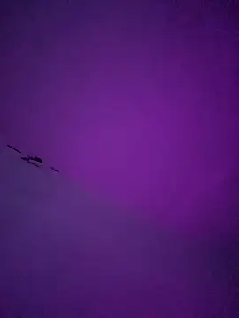 LiosArmando420 online show from January 6, 2026, 1:59 pm