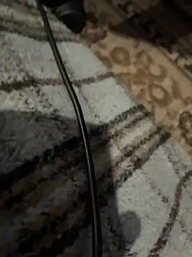 Snapshot of BringBackLostLover chatting on December 1, 2025, 10:10 pm BringBackLostLover online show from December 1, 2025, 10:10 pm