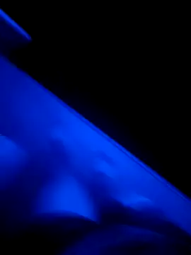 red red00 online show from March 13, 2025, 11:16 pm