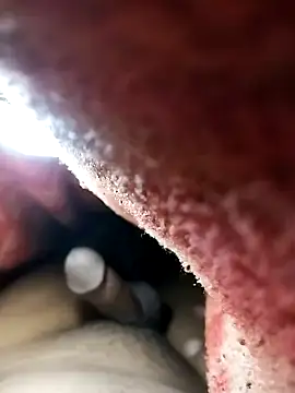 Snapshot of Nzfl97 chatting on February 1, 2025, 10:44 pm Nzfl97 online show from February 1, 2025, 10:44 pm