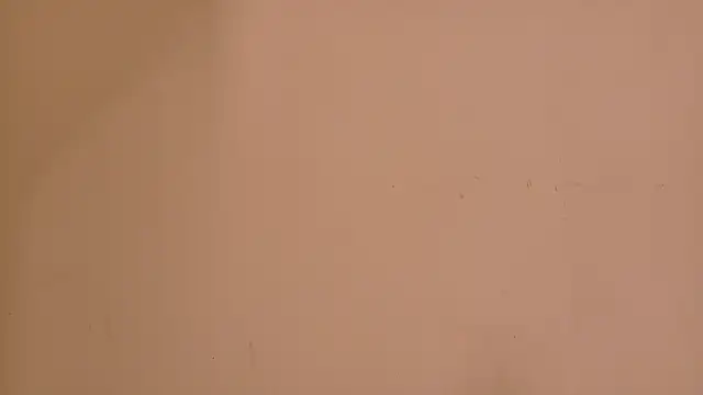 Snapshot of flavia_cruz chatting on June 15, 2026, 12:05 pm flavia cruz online show from June 15, 2026, 12:05 pm