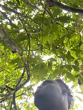 Snapshot of Andricastro chatting on November 10, 2025, 1:49 pm Andricastro online show from November 10, 2025, 1:49 pm