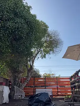 Snapshot of Andricastro chatting on February 23, 2025, 1:42 pm Andricastro online show from February 23, 2025, 1:42 pm