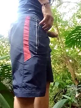 Snapshot of mis312 chatting on September 28, 2025, 8:49 pm mis312 online show from September 28, 2025, 8:49 pm