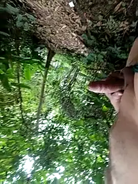 Snapshot of mis312 chatting on December 16, 2025, 1:15 pm mis312 online show from December 16, 2025, 1:15 pm