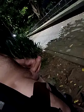 Snapshot of mis312 chatting on February 28, 2026, 8:36 am mis312 online show from February 28, 2026, 8:36 am