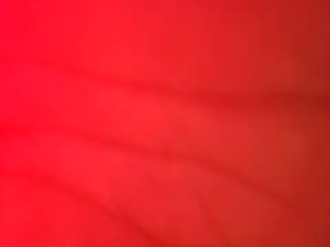 Snapshot of jorwee chatting on February 15, 2025, 4:36 am jorwee online show from February 15, 2025, 4:36 am