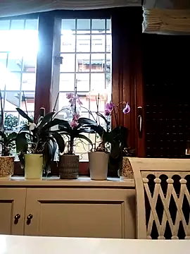 Snapshot of Frabox65 chatting on March 27, 2026, 6:00 am Frabox65 online show from March 27, 2026, 6:00 am