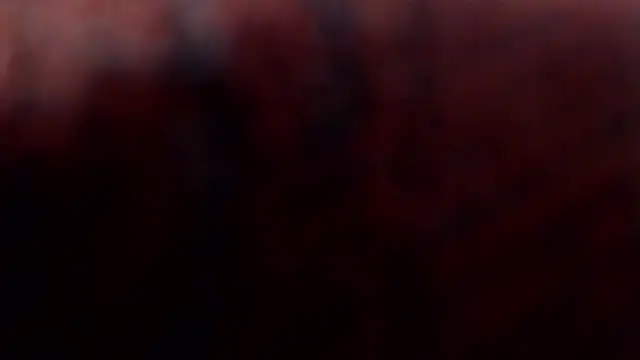 1BECHA1 online show from March 5, 2026, 2:35 pm