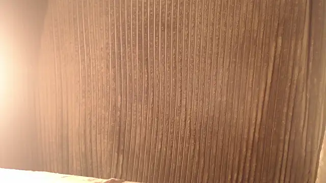 Snapshot of 1BECHA1 chatting on November 12, 2025, 5:11 am 1BECHA1 online show from November 12, 2025, 5:11 am